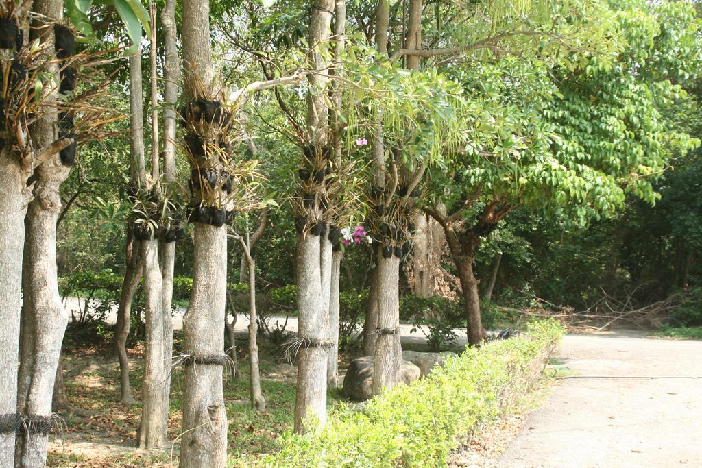Butterfly B&B Manzhou Екстер'єр фото